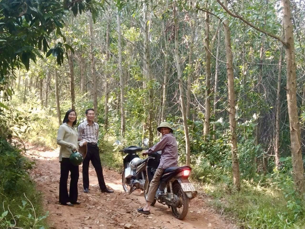 Anh-tin-bai
